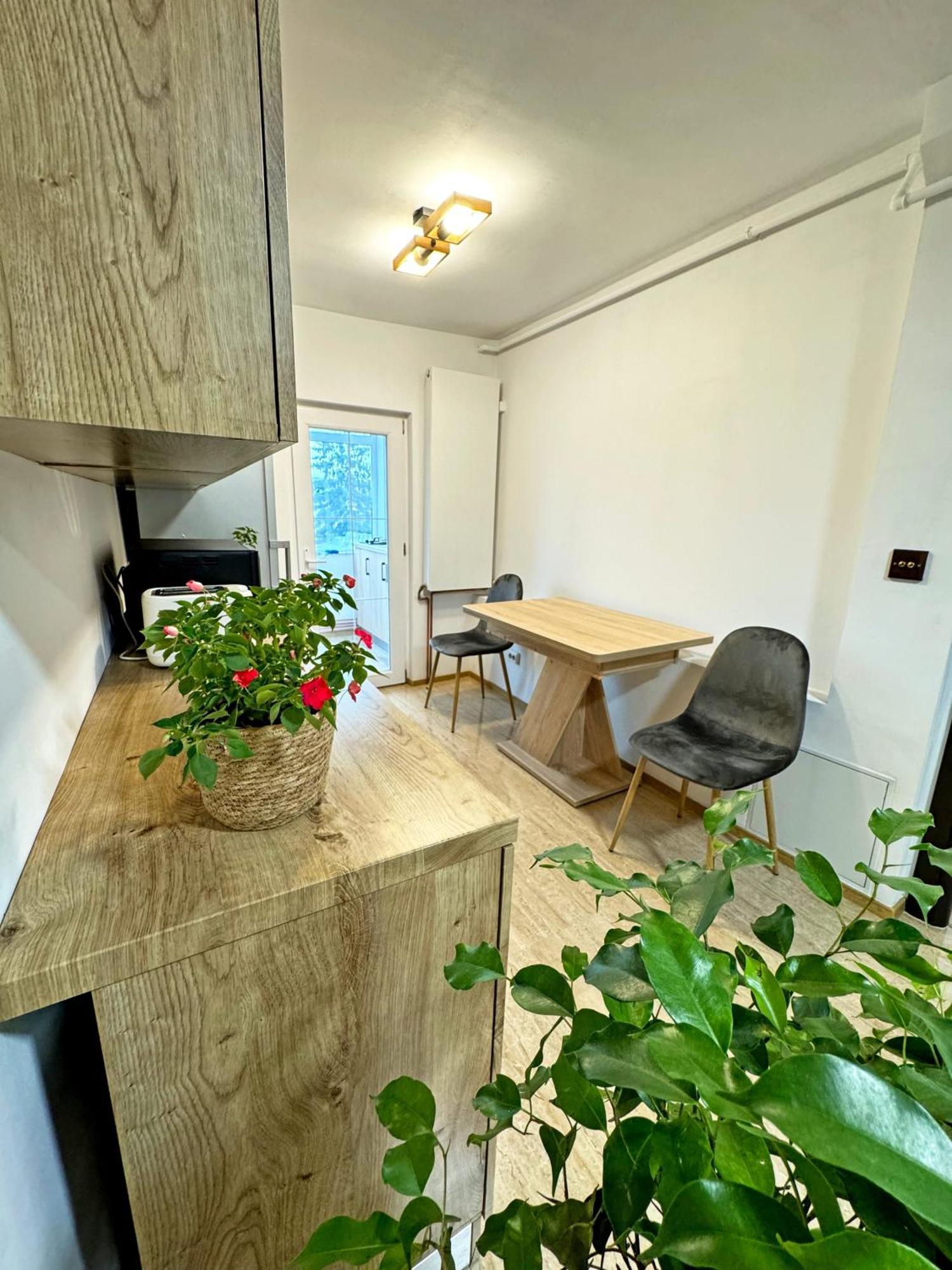 Ultracentral Apartment Targu Jiu Bagian luar foto